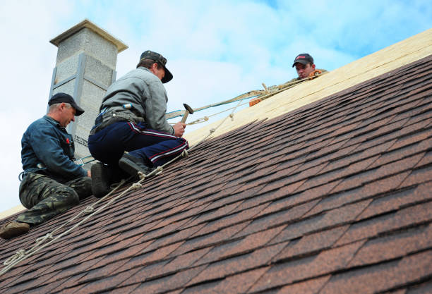 Best Roof Leak Repair  in Fall City, WA